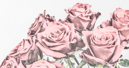 Bouquet of pink roses. Painted illustration.の写真素材