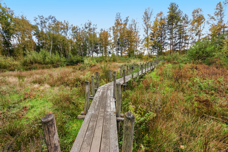 Walking route Knuppelpad in Herenthout, Belgium.の写真素材
