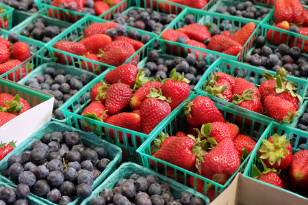 Fresh berriesの写真素材