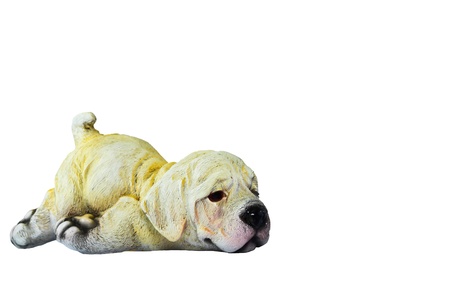 Toy  dogの写真素材