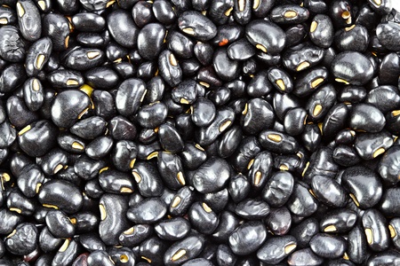 Blackbeanの写真素材