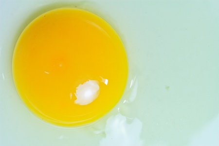 Egg yolk close - up on whiteの写真素材