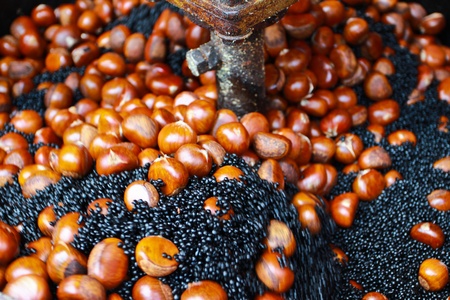 Closes  up of chestnut   textureの写真素材