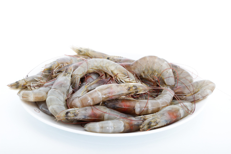 Fresh shrimpの写真素材