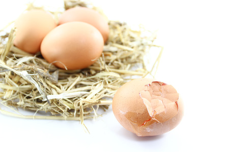 egg