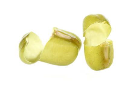Bean Sprouts on White Backgroundの写真素材