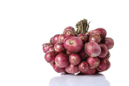 Shallot onions in a group on Whiteの写真素材