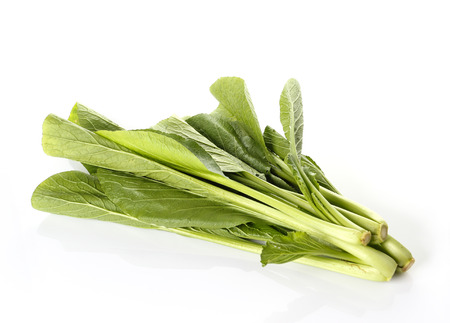 chinese cabbage on white backgroundの写真素材