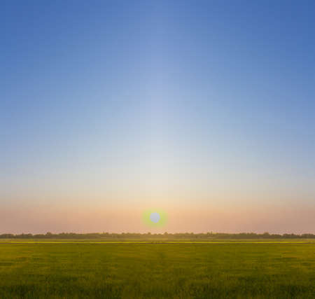 Beautiful tropical sunset background.