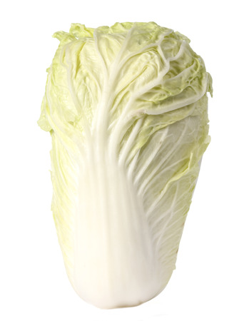 Chinese cabbage on white backgroundの写真素材