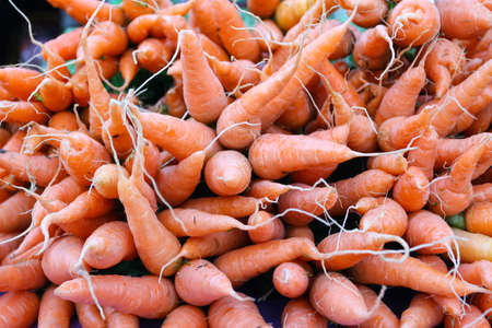 carrotsの写真素材