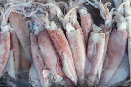 Fresh Squid on a market stall