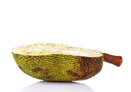 Jackfruit isolated on white backgroundの写真素材
