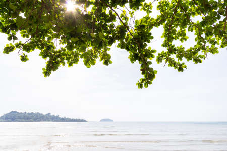 beach backgroundの写真素材