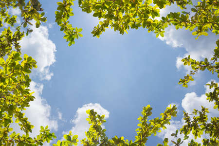 blue sky with cloud