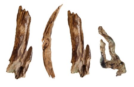 Old Timber, Old Wood isolate on white background.の写真素材