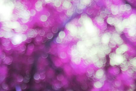 blurred background.の写真素材