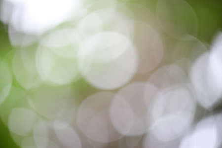 Natural green blurred background.の写真素材
