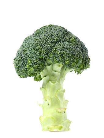 Broccoli isolated on white backgroundの写真素材