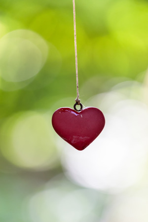 love heart on green background.の写真素材