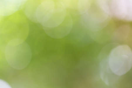 Natural green blurred background.