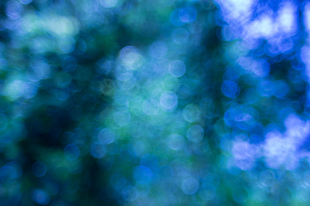 blurred background.