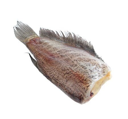 Snake Skin Gourami Fish, Pla Salit (Trichogaster pectoralis) desiccated isolatedの写真素材