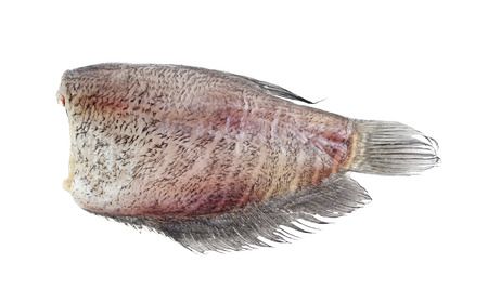 Snake Skin Gourami Fish, Pla Salit (Trichogaster pectoralis) desiccated isolatedの写真素材