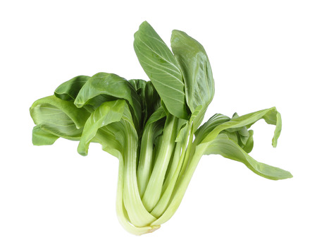 Green lettuce isolate on whiteの写真素材