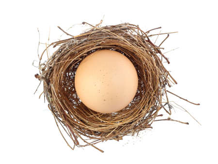 Egg, Chicken Egg isolate on whiteの写真素材