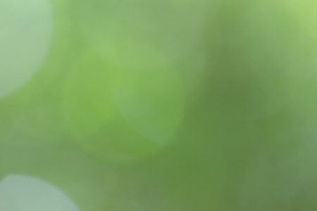 Natural green blurred background.の写真素材