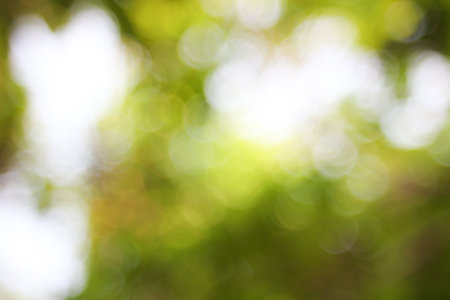 Natural green blurred background.の写真素材