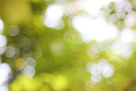 Natural green blurred background.の写真素材