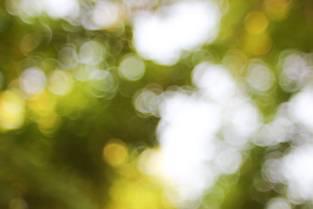 Natural green blurred background.の写真素材