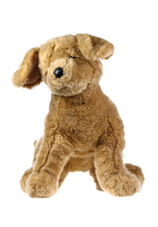 dog doll isolate on white , fluffy toysの写真素材