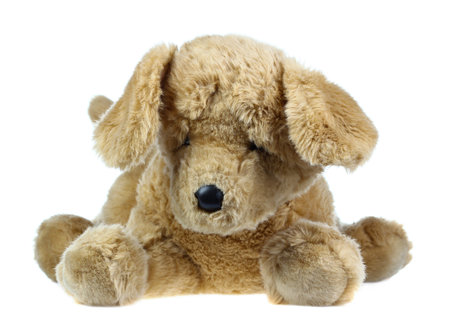 dog doll isolate on white , fluffy toysの写真素材