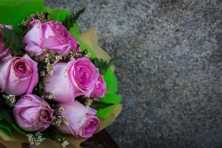 pink rose flowerの写真素材