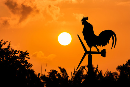 Roosters crow stand on a wind turbine. In the morning sunrise backgroundの写真素材