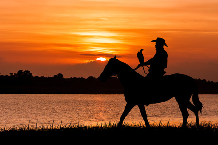 silhouette of Cowboy sitting on his horse at river sunset backgroundの写真素材
