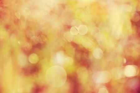 bokeh blurry natural abstract pink  background