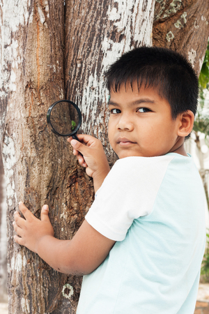 little boy exploring tree with a magnifying glass looking at  leavesの写真素材