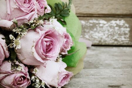 beauty pink rose flowerの写真素材