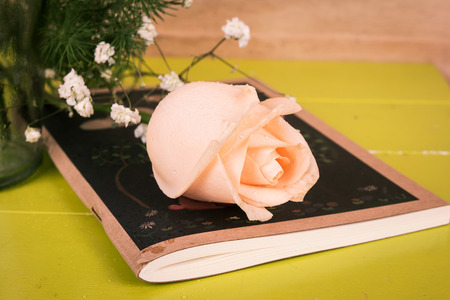 beauty rose flower on note bookの写真素材