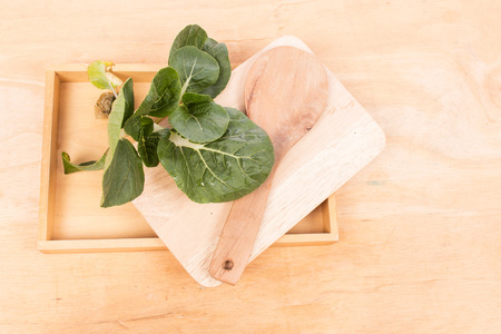 green bok choy vegetable on wooden backgroundの写真素材