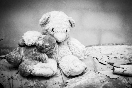 Couple teddy bear abandoned piles of paper,black and white toneの写真素材