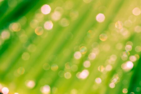 Beautiful bokeh blurry natural abstract  background
