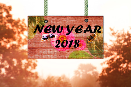 New Year 2018,conceptの写真素材