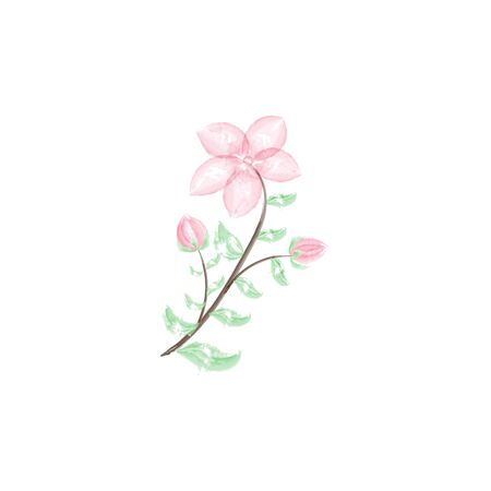 Beauty pink blossom flower watercolorのイラスト素材