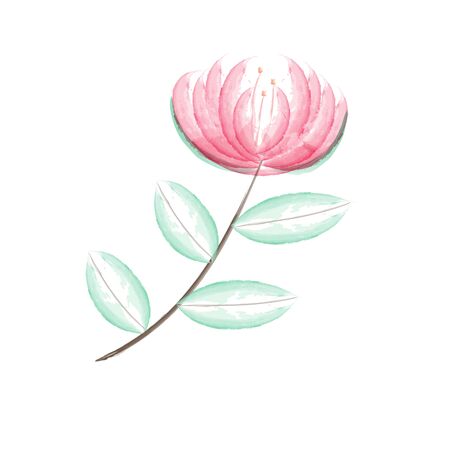 Beauty red blossom flower watercolorのイラスト素材