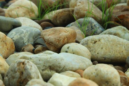 Several rocks in the park.